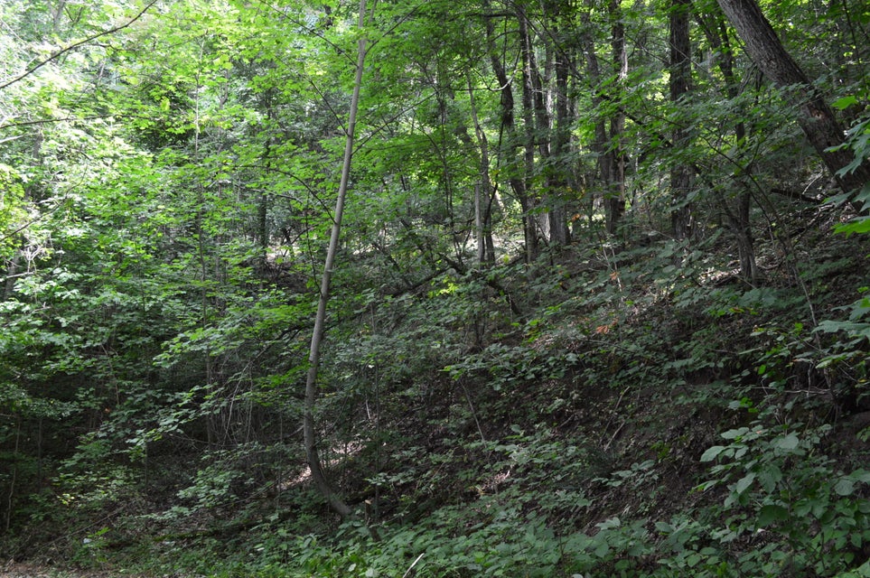 Photo #40: Tba Highway 25e