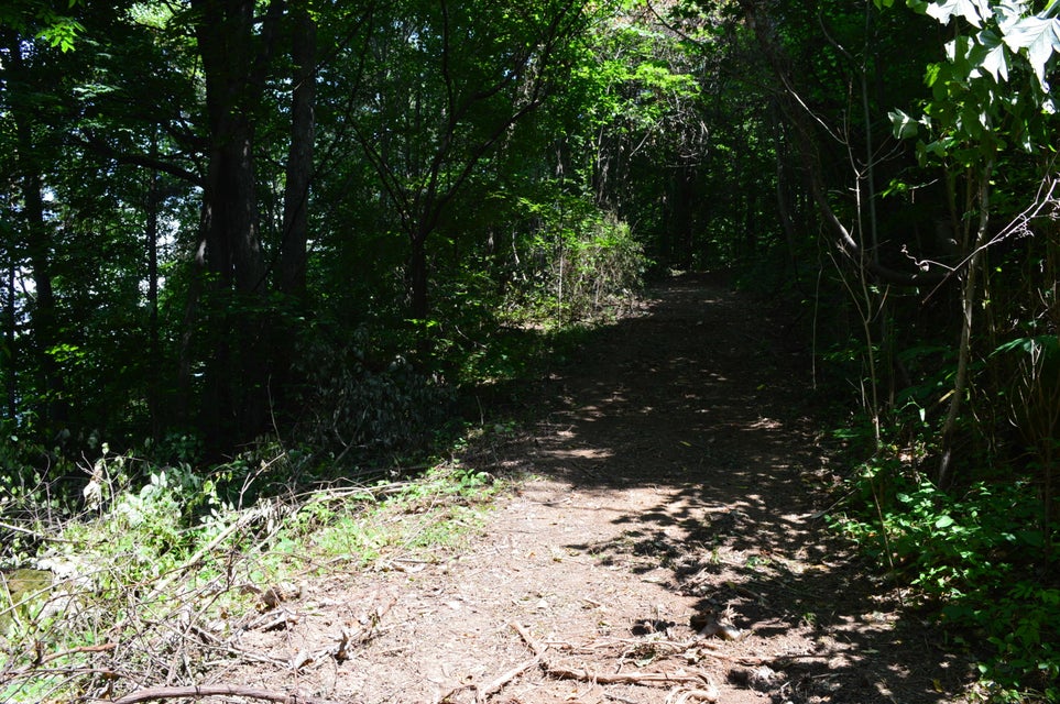 Photo #48: Tba Highway 25e