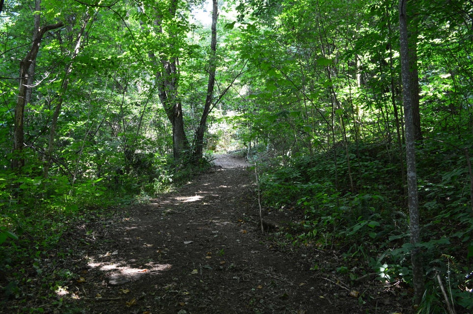 Photo #49: Tba Highway 25e