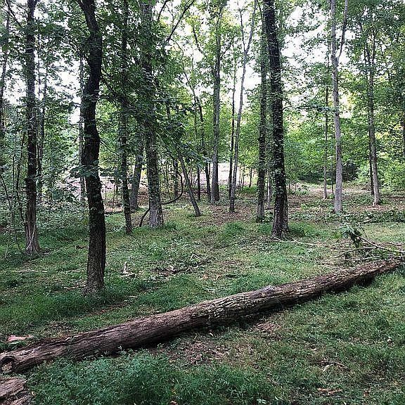 Photo #7: 326 Eagle Ridge Drive