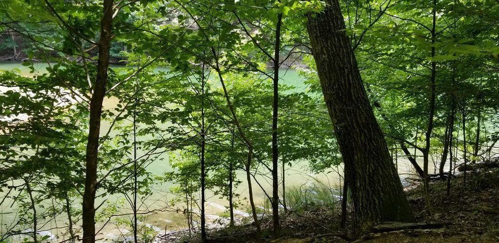 Photo #5: 712 Muskogee Drive