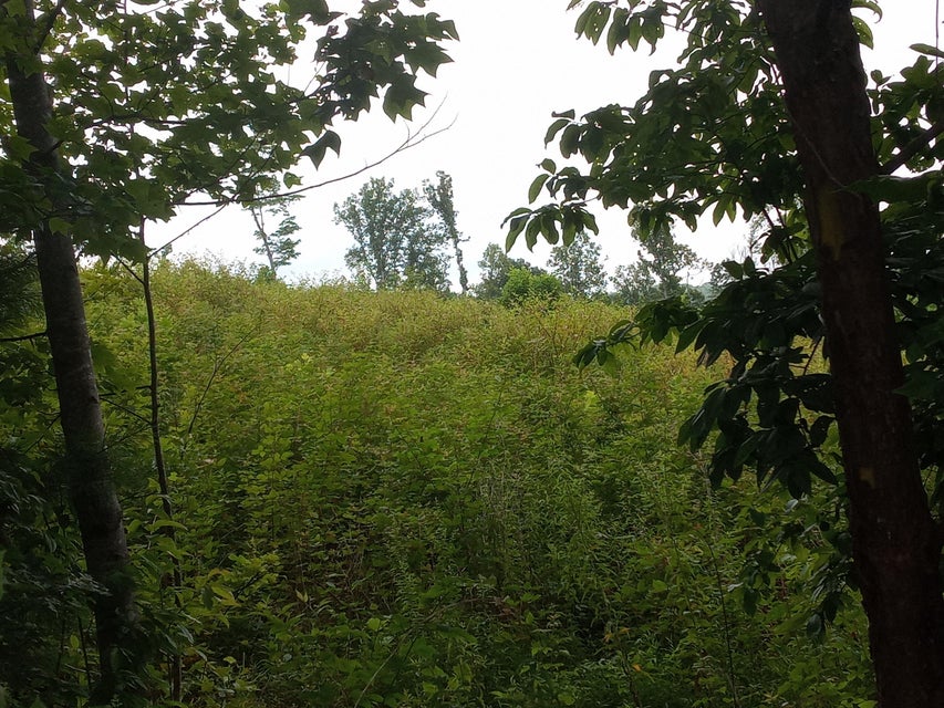 Photo #3: Tbd Blackberry Hill Lane
