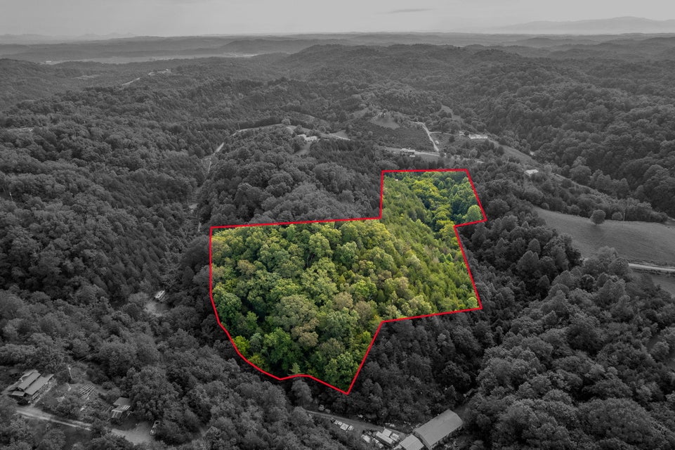 Photo #5: 1088 Rhodes Rd Road