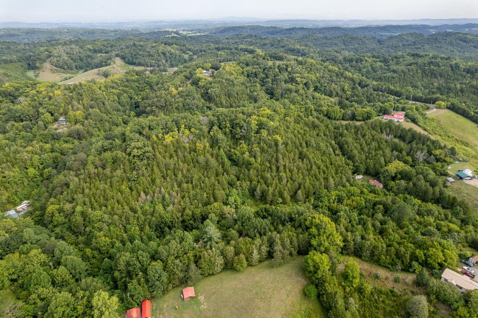 Photo #7: 1088 Rhodes Rd Road