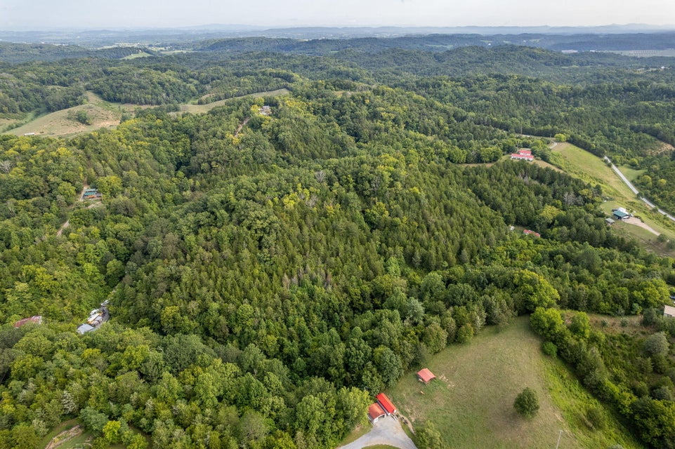 Photo #8: 1088 Rhodes Rd Road