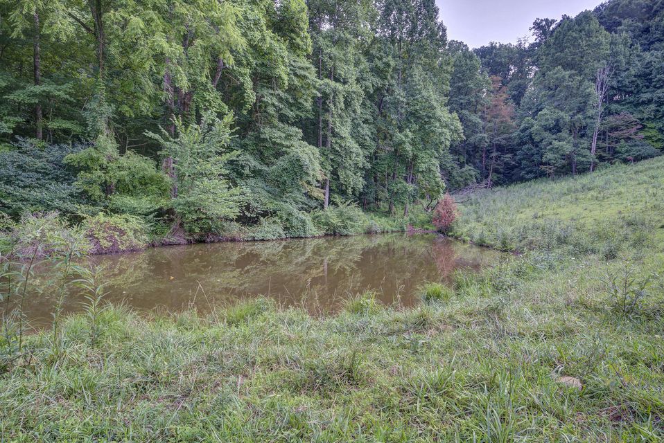 Photo #42: 932 Castene Rd