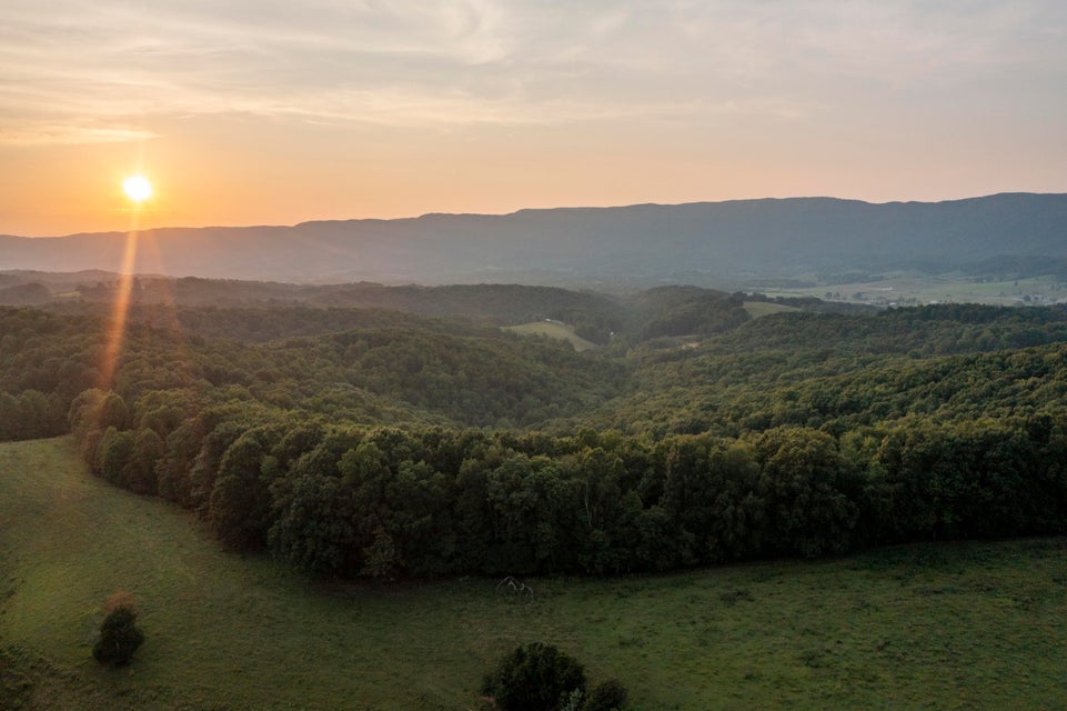 Photo #50: 932 Castene Rd