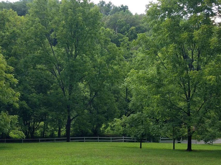 Photo #33: 1273 Duck Creek Road
