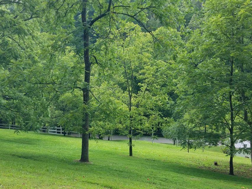 Photo #34: 1273 Duck Creek Road