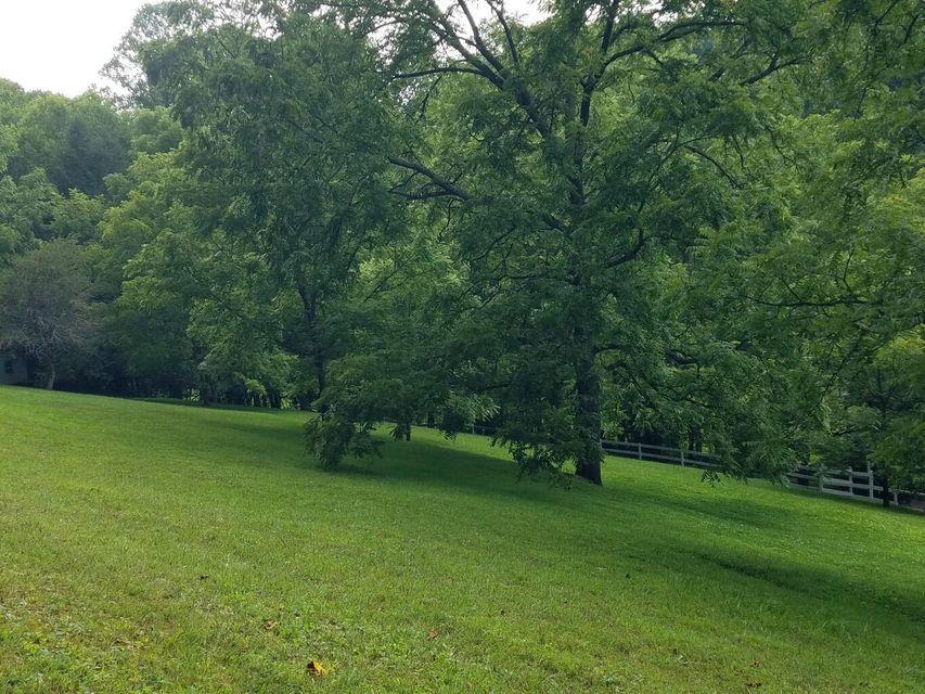 Photo #35: 1273 Duck Creek Road