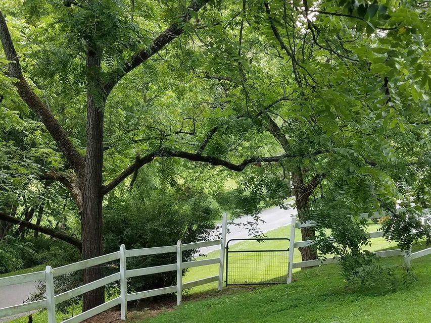 Photo #37: 1273 Duck Creek Road