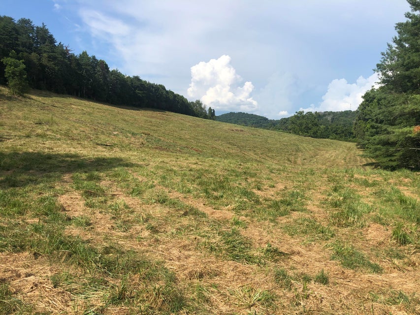 Photo #1: Tbd Gap Creek Road