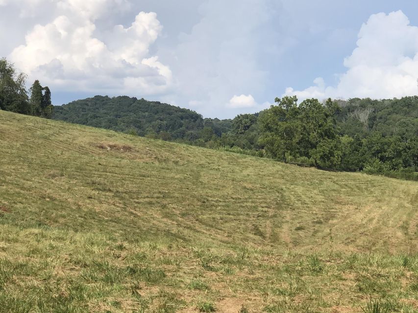 Photo #4: Tbd Gap Creek Road