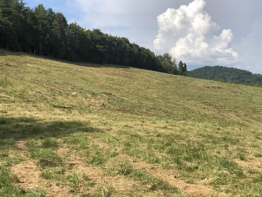 Photo #6: Tbd Gap Creek Road