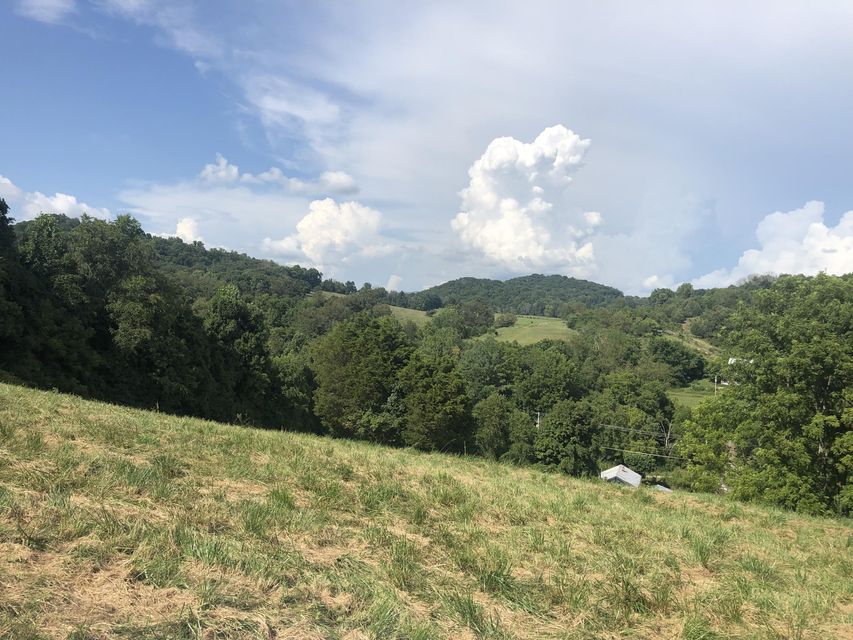 Photo #11: Tbd Gap Creek Road