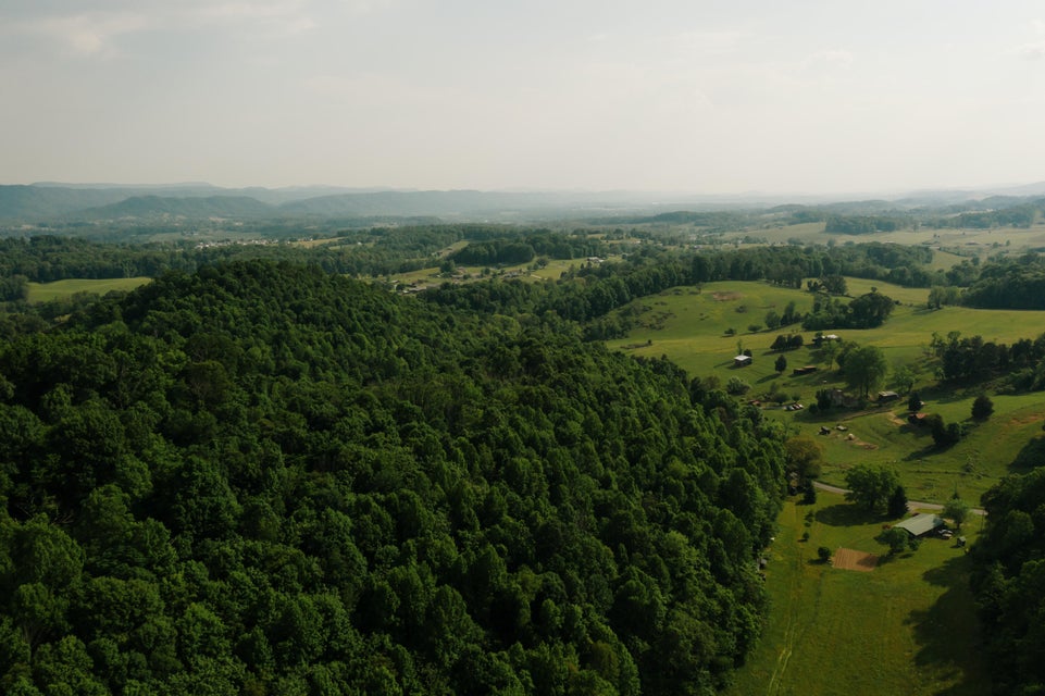 Photo #10: 365 Barrett Lane
