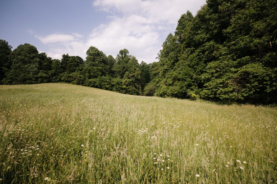 Photo #11: 365 Barrett Lane