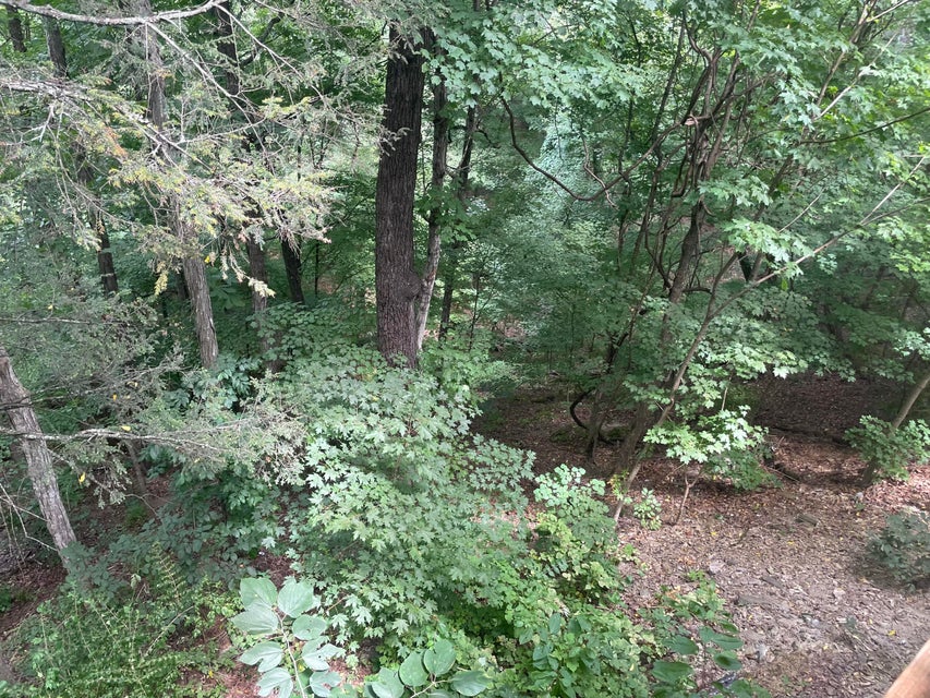 Photo #7: 307 Hickory Bluff