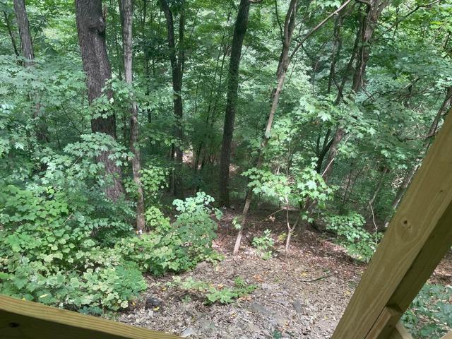 Photo #28: 307 Hickory Bluff