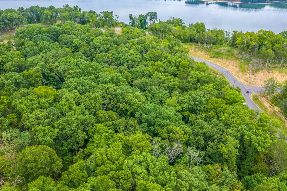 Photo #12: Lot 78 Harbor Ridge Lane