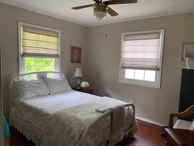 Photo #31: 535 Hagan Avenue