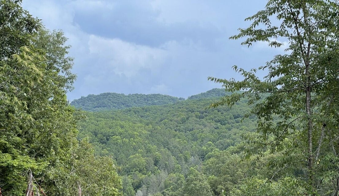 Photo #5: 192 Blueberry Hill Drive