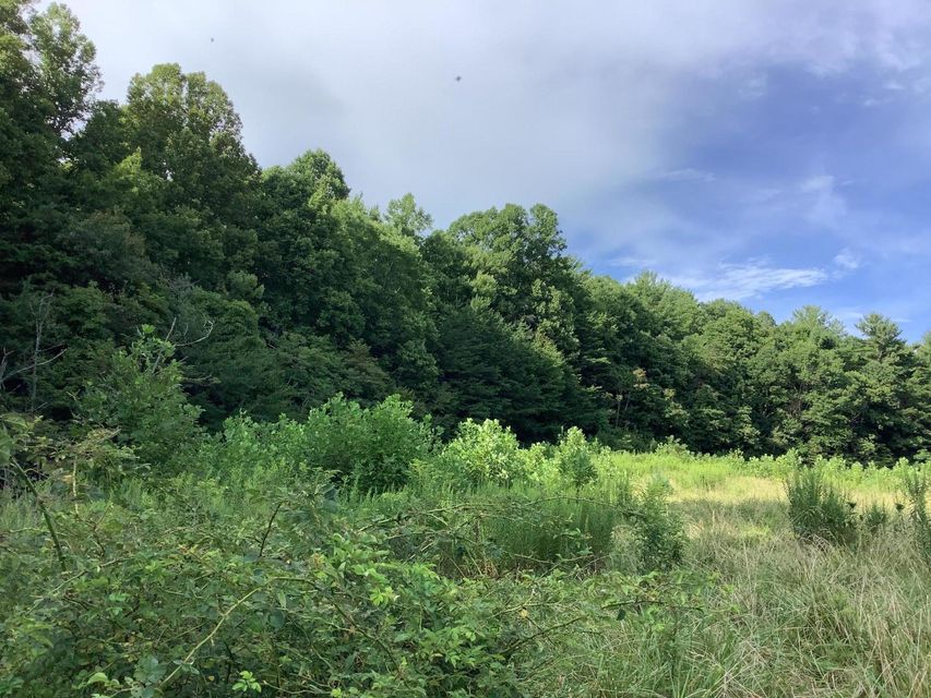 Photo #3: Tbd Upper Stone Mtn Road