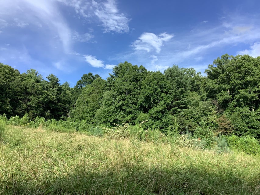 Photo #8: Tbd Upper Stone Mtn Road