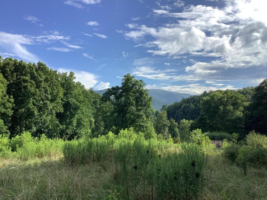 Photo #5: Tbd Upper Stone Mtn Road