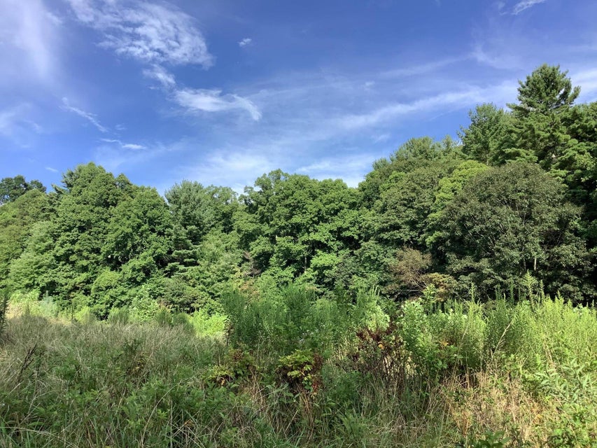 Photo #7: Tbd Upper Stone Mtn Road
