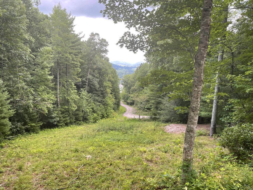 Photo #4: 0000 Hiddenwood Drive