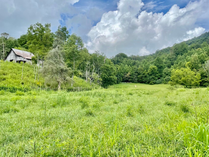 Photo #36: 1115 Mabe Stanleytown Road