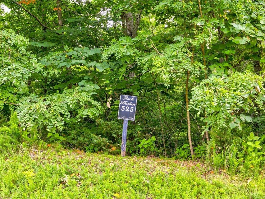 Photo #4: Lot 525 Garnet Trail