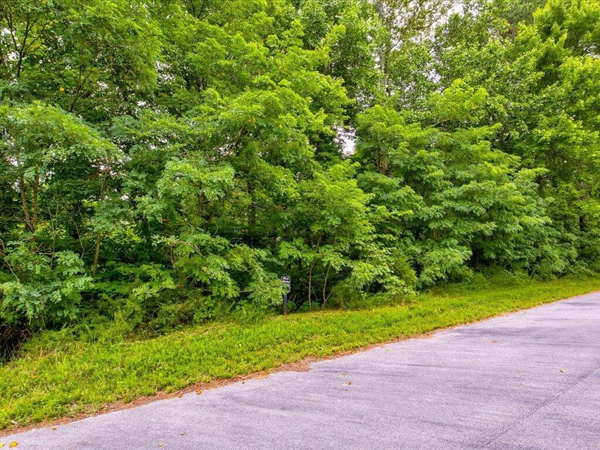 Photo #6: Lot 525 Garnet Trail