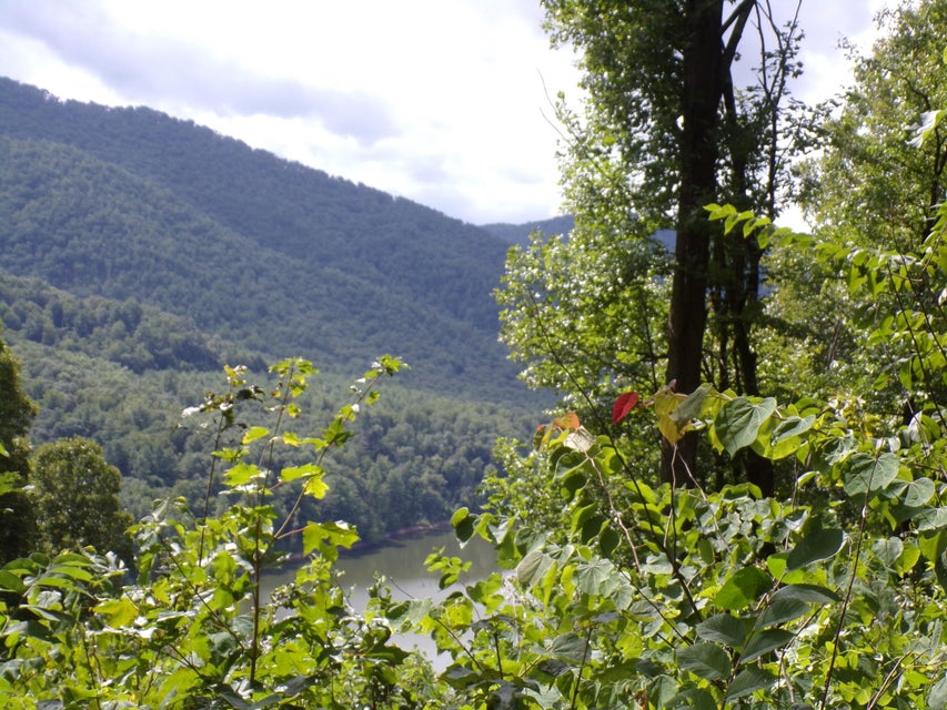 Photo #6: Lot 23 Lake Ridge Subdivision