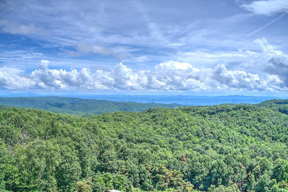 Photo #36: 451 Ozark Drive
