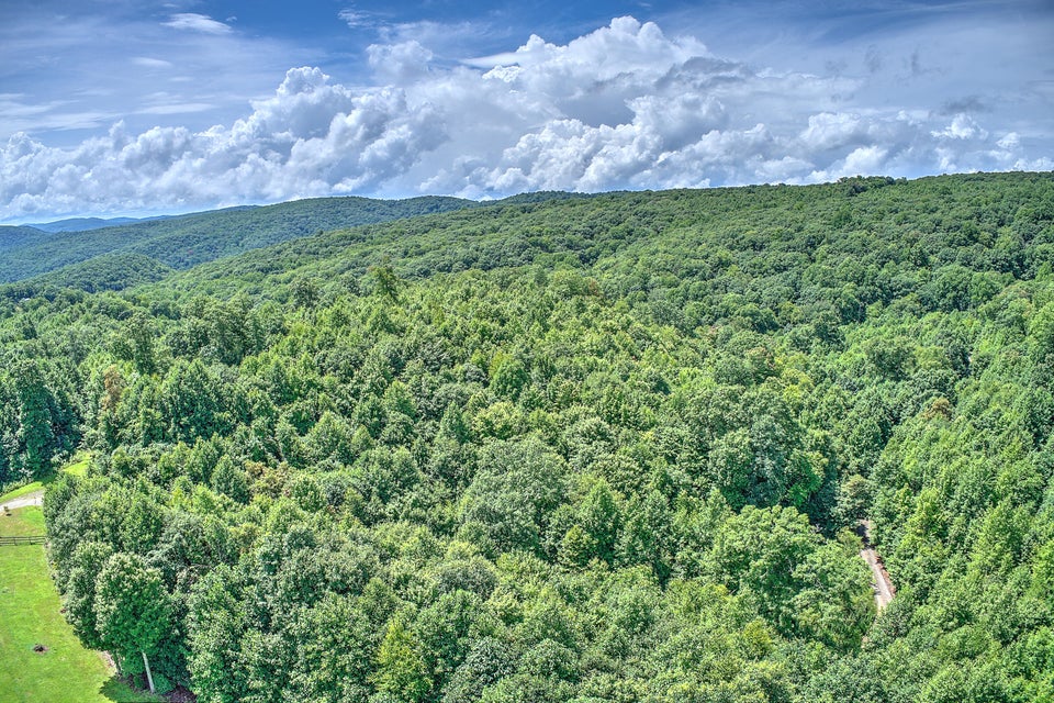 Photo #38: 451 Ozark Drive