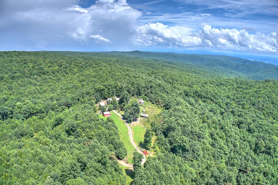 Photo #42: 451 Ozark Drive