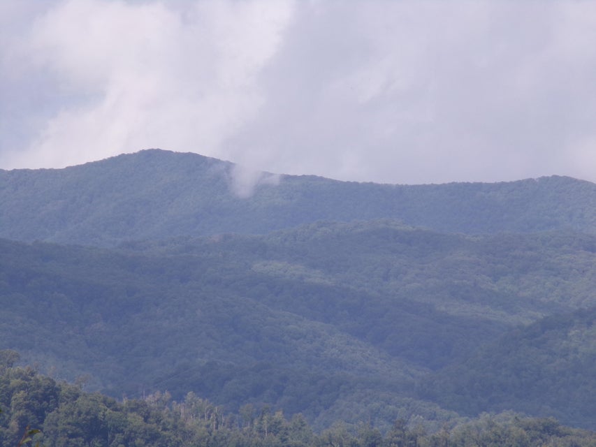 Photo #7: Lot 28 Lake Ridge Subdivision