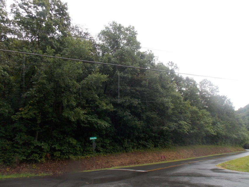 Photo #1: 00 Johnson Hollow Road