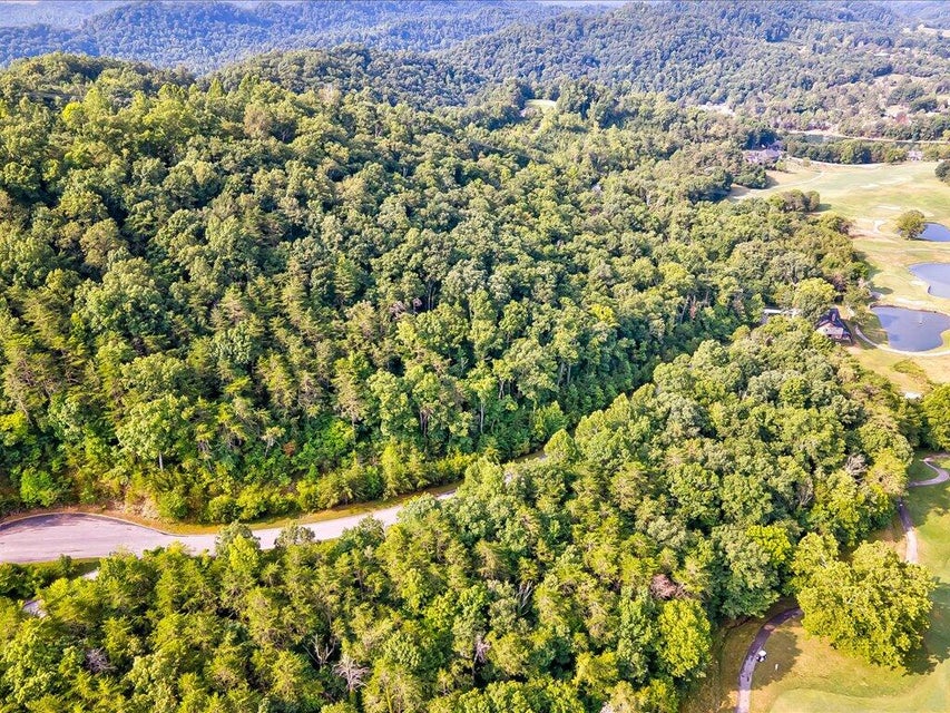 Photo #9: 136 Eagles Ridge