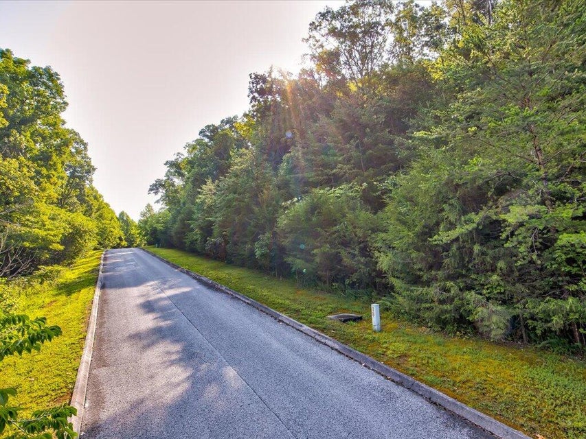 Photo #10: 136 Eagles Ridge