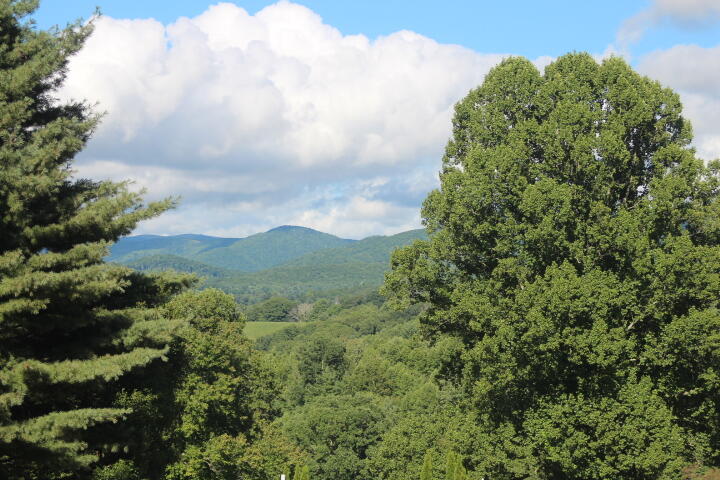 Photo #7: 000 Laurelwood Lane, Lot #65