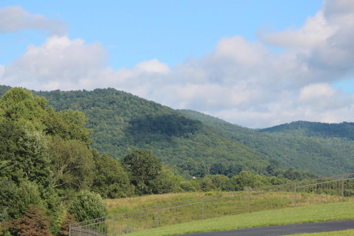 Photo #8: 000 Laurel Way, Lot #53
