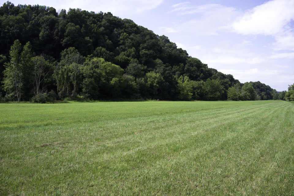Photo #14: 20486 Canebrake Road
