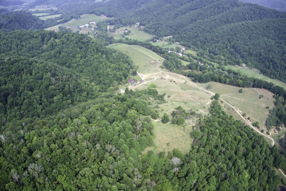 Photo #15: 20486 Canebrake Road