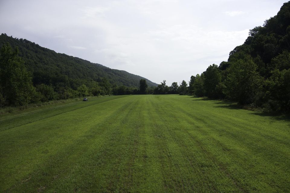 Photo #16: 20486 Canebrake Road