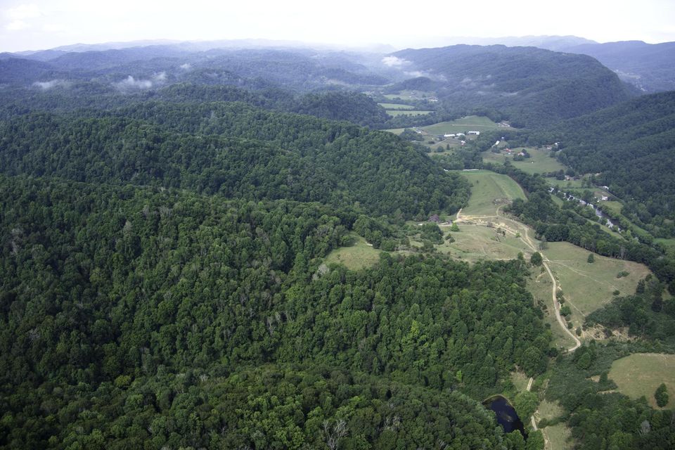 Photo #17: 20486 Canebrake Road