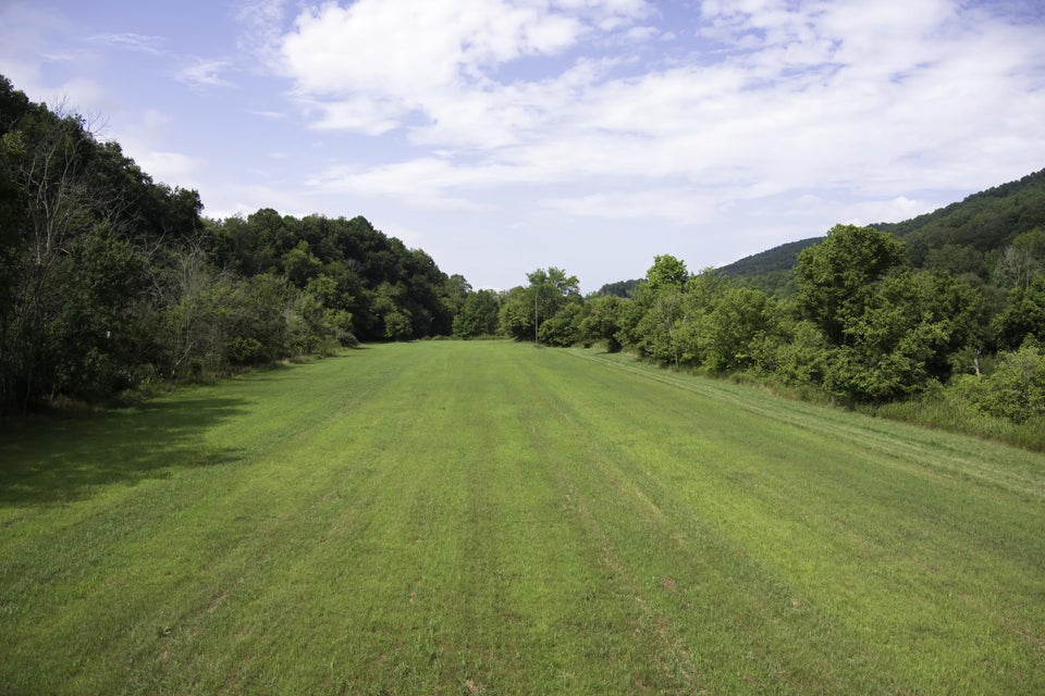 Photo #18: 20486 Canebrake Road