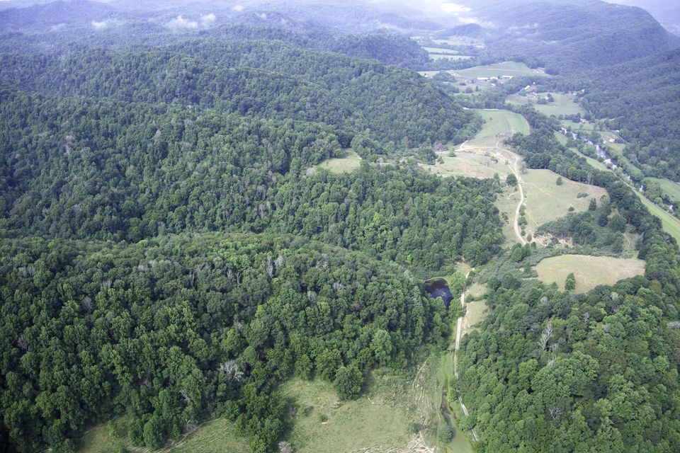 Photo #19: 20486 Canebrake Road